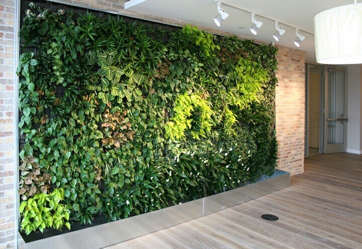 không gian xanh vơi vườn tường đứng trong nhà