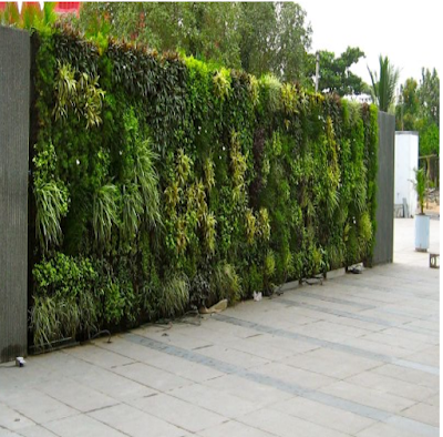 Trồng tường cây xanh trên hành lang, lối đi - Thiết kế vườn tường đứng